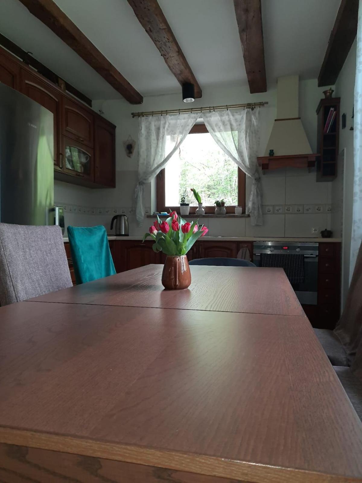 Majcia Villa Jelenia Gora Exterior photo